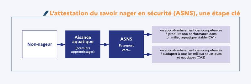 Infographie attestation savoir nager en sécurité ASNS - voir description ci-après