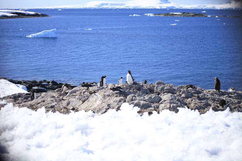 Crédits : Le Cercle Polaire