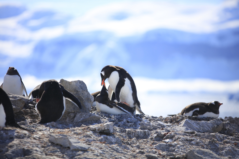 Crédits : Le Cercle Polaire