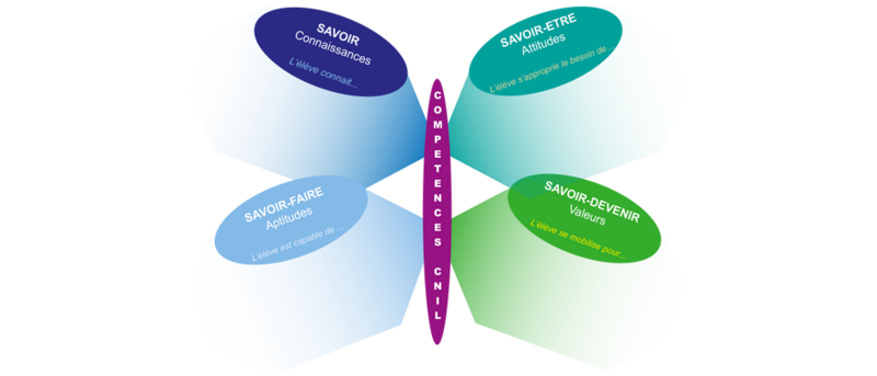 Infographie Illustration de l'approche papillons