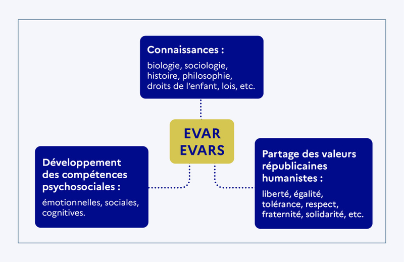 infographie EVAR-EVARS