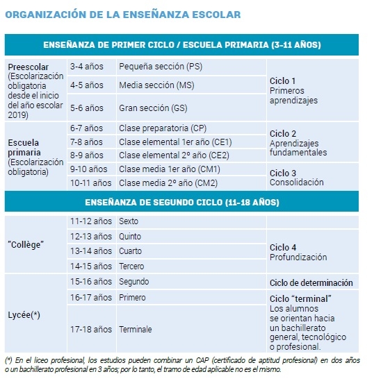 Infographie Organización de la enseñanza escolar
