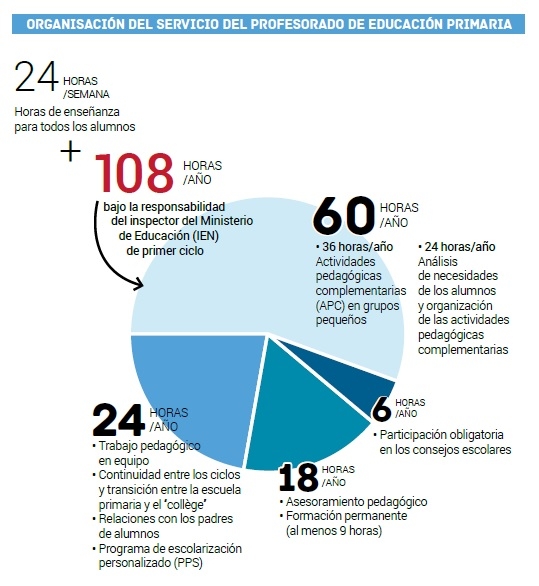 infographie ORGANISACIÓN DEL SERVICIO DEL PROFESSORADO DE EDUCACIÓN PRIMARIA