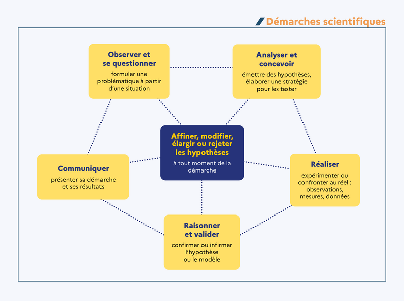 Infographie - Les démarches scientifiques (une transcription est proposée dans l'onglet dédié)